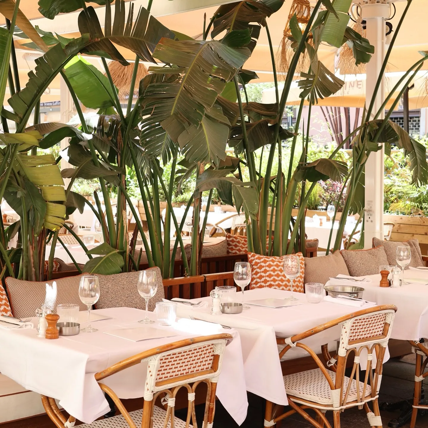 Terrasse végétalisée
